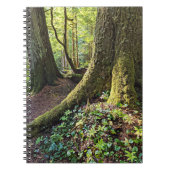 Üppiger Immergrüner Wald Notizblock (Vorderseite)