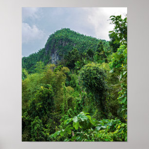 Üppiger Regenwald und El-Yunque-Gipfel Poster
