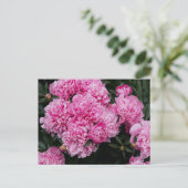 Üppiger Rosa Pfingstrosen-Garten Florale Fine Art Postkarte (Stehend Vorderseite)