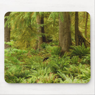 Üppiger Wald & Farne Ecola State Park, Oregon Mousepad