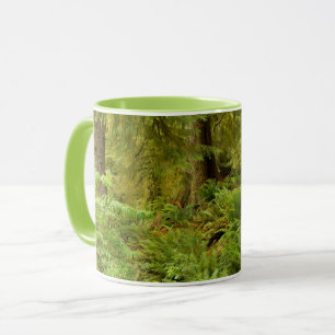 Üppiger Wald & Farne Ecola State Park, Oregon Tasse