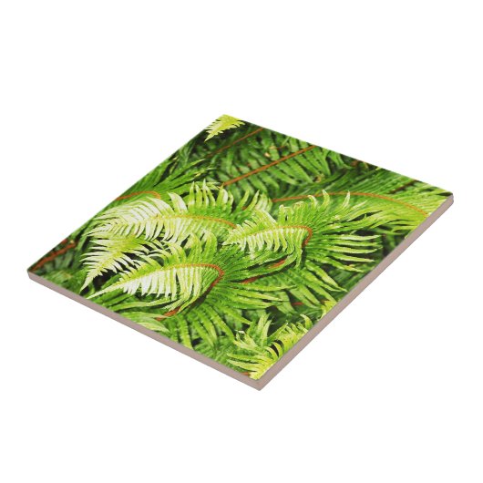 Üppiges grünes Farn-Blätter Fliese (Seite)