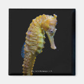 Uprix Magnet (Vorne)