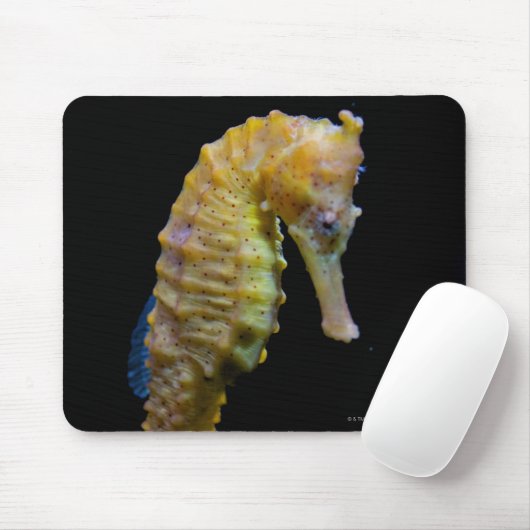 Uprix Mousepad (Mit Mouse)