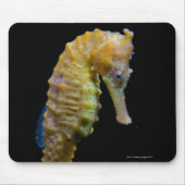 Uprix Mousepad (Vorne)