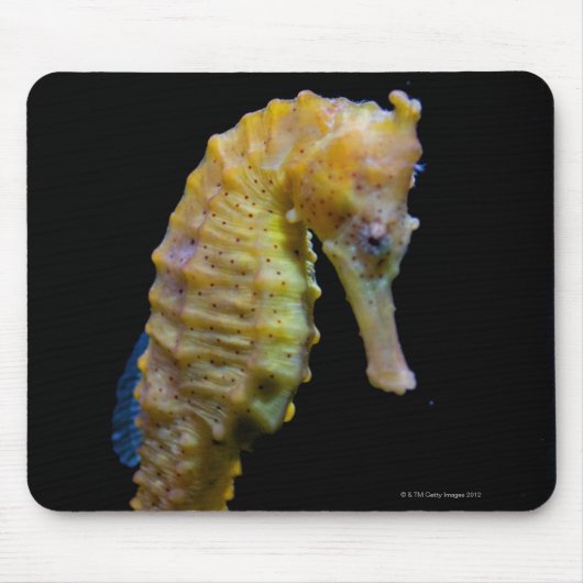Uprix Mousepad (Vorne)