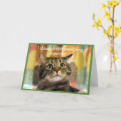Upset Tabby Cat Belated Geburtstag Karte (Gelbe Blume)