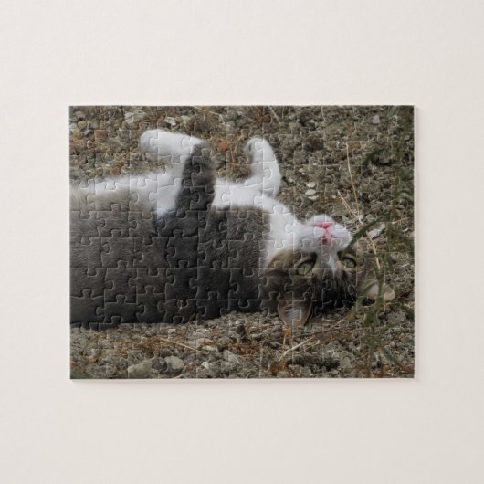 Upside Down Kitty Puzzle (Horizontal)