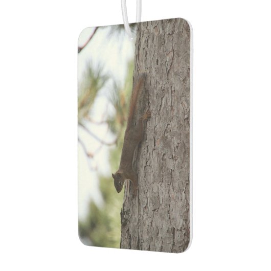 Upside Down Squirrel Autolufterfrischer (Links)