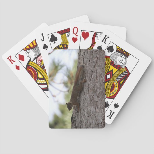 Upside Down Squirrel Playing Cards Spielkarten (Rückseite)