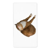 Upside-Down Sunshine (Vorne)