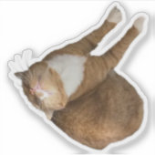 Upside-Down Sunshine Cat Aufkleber (Vorderseite)