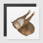Upside-Down Sunshine Cat Magnetkarte (Vorne/Hinten)