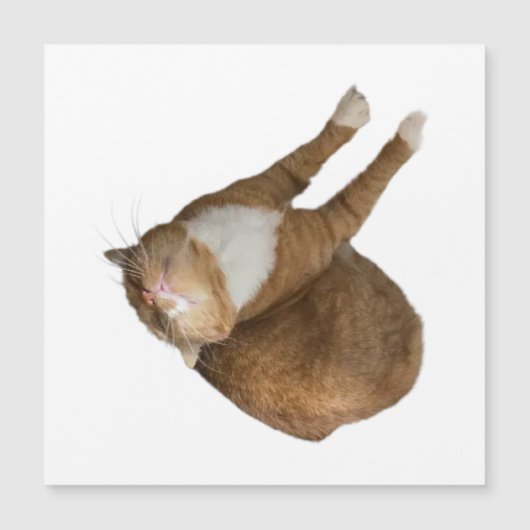Upside-Down Sunshine Cat Magnetkarte (Vorderseite)
