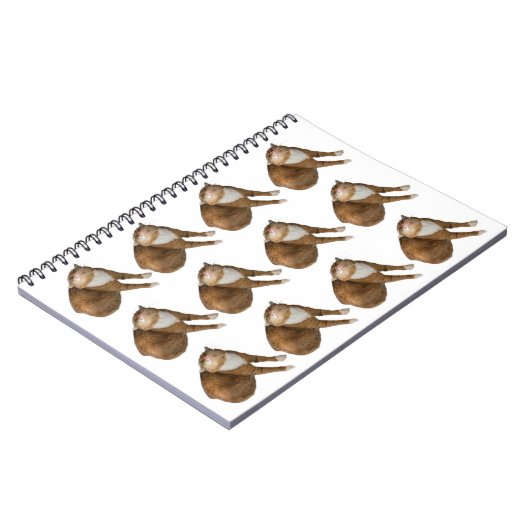 Upside-Down Sunshine Cat Notizblock (Linke Seite)