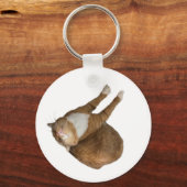 Upside-Down Sunshine Cat Schlüsselanhänger (Vorderseite)