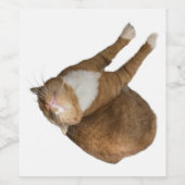 Upside-Down Sunshine Cat Weinetikett (Einzelnes Label)