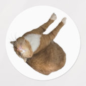 Upside-Down Sunshine Etiketten (Design 2)