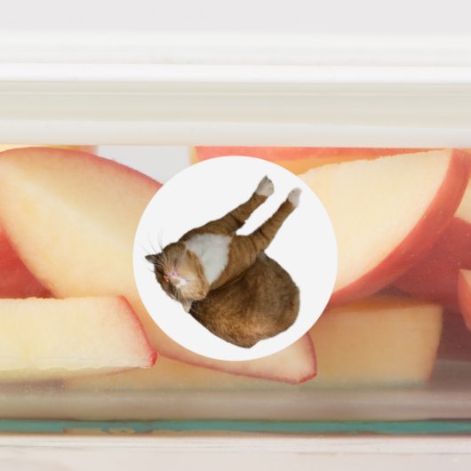 Upside-Down Sunshine Etiketten (Befestigt)