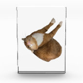 Upside-Down Sunshine Fotoblock (Vorderseite)