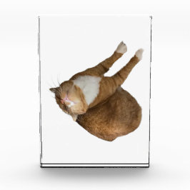 Upside-Down Sunshine Fotoblock