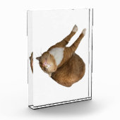 Upside-Down Sunshine Fotoblock (Links)