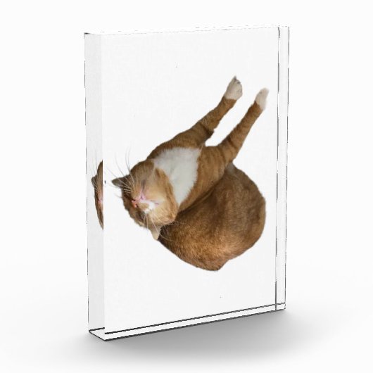 Upside-Down Sunshine Fotoblock (Links)