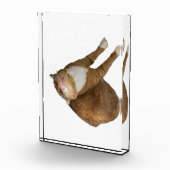 Upside-Down Sunshine Fotoblock (Rechts)