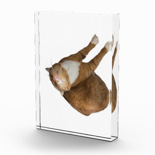 Upside-Down Sunshine Fotoblock (Rechts)