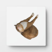 Upside-Down Sunshine Fotoplatte (Vorderseite)