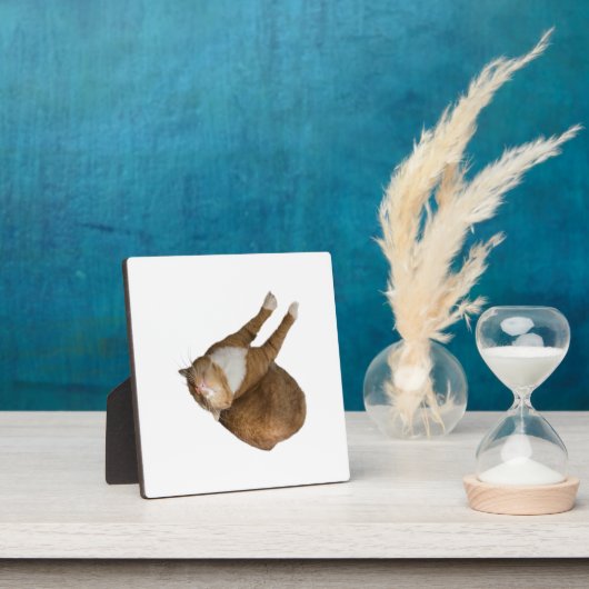 Upside-Down Sunshine Fotoplatte (InSitu)