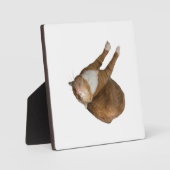 Upside-Down Sunshine Fotoplatte (Vorderseite)