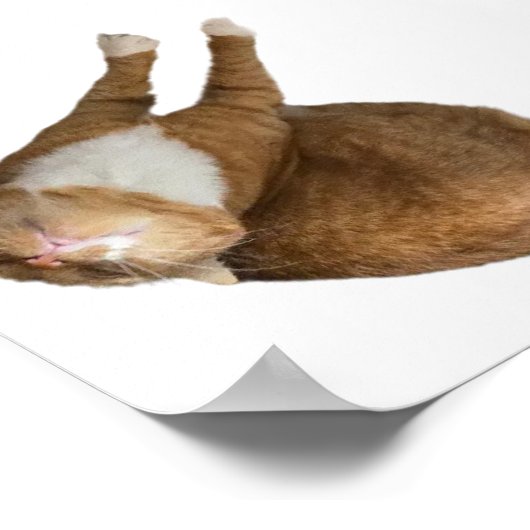 Upside-Down Sunshine Poster (Ecke)