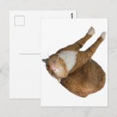 Upside-Down Sunshine Postkarte (Vorne/Hinten)