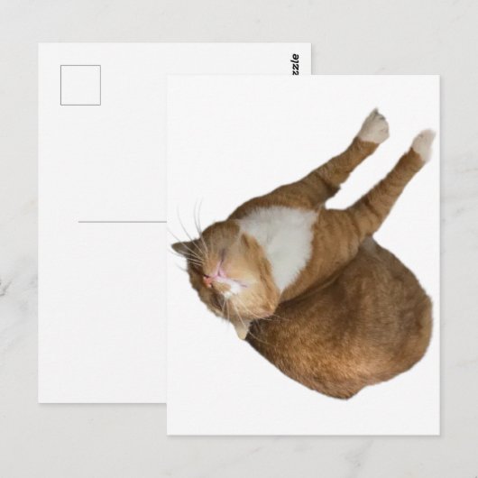 Upside-Down Sunshine Postkarte (Vorne/Hinten)