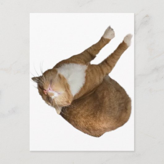 Upside-Down Sunshine Postkarte (Vorderseite)