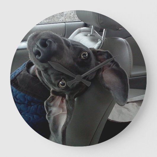 Upside-down Weimaraner Wall Clock Große Wanduhr (Vorderseite)