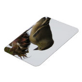 Upside DownSunflower Eating Goldfinch Magnet (Linke Seite)