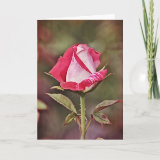 Upstanding Rose Scripture Card Psalm 33:1 Karte (Vorderseite)