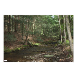 Upstream-Foto drucken Fotodruck