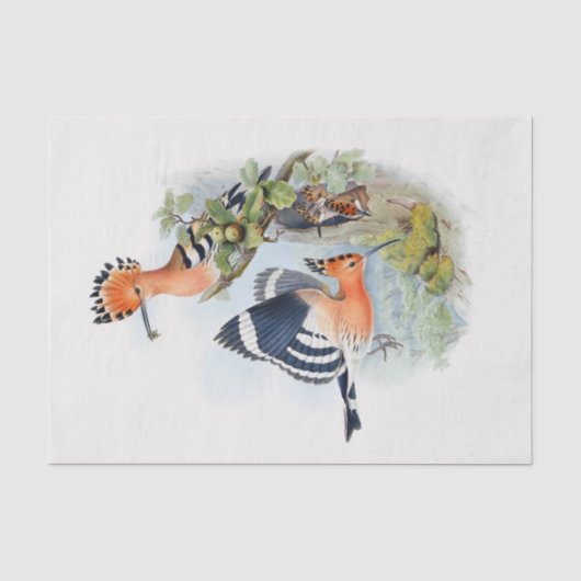 Upupa Epops Decoupage Seidenpapier (Vorderseite)