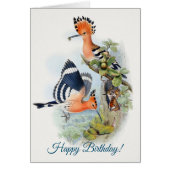 Upupa Epops Happy Birthday (Vorne)