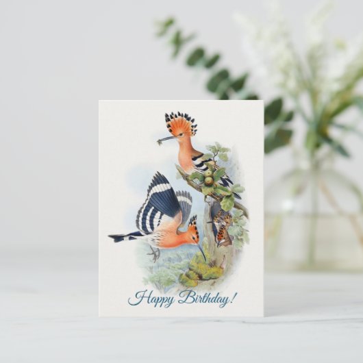 Upupa Epops Postkarte (Stehend Vorderseite)