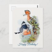Upupa Epops Postkarte (Vorne/Hinten)
