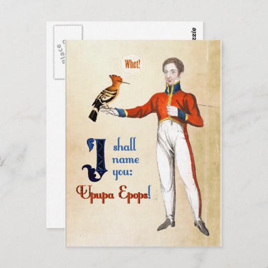 Upupa Epops Postkarte (Vorne/Hinten)