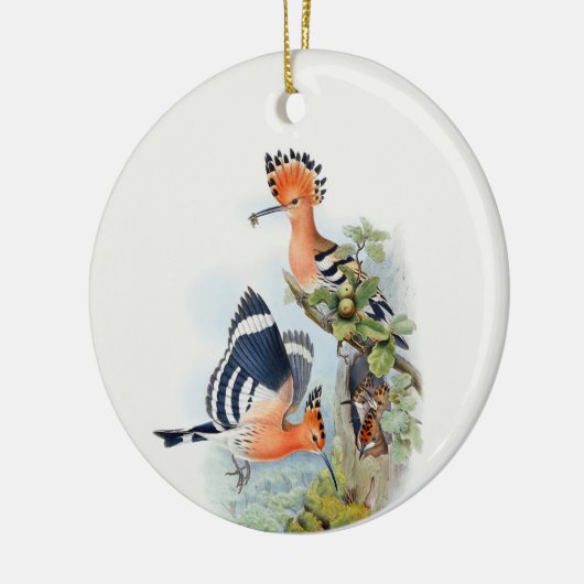 Upupa Epops Tree Keramik Ornament (Links)