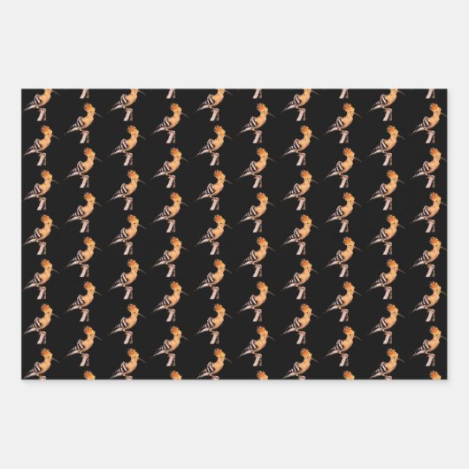 Upupa Geschenkpapier Set (Vorderseite)