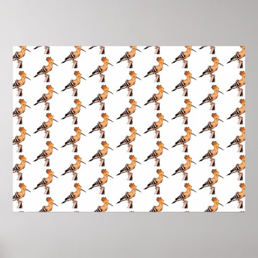 Upupo epops epops epops geteertes Muster Poster (Vorne)