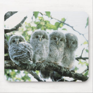 Ural owetsl. Ikeda-machi, Hokkaido, Japan Mousepad