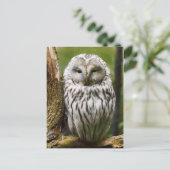 Ural Owl auf einer Extremität Postkarte (Stehend Vorderseite)